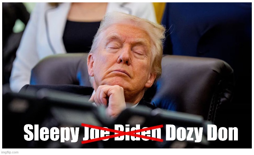 Dozy Don slammed his predecessor as “Sleepy Joe” just one day after dozing off in an Oval Office press conference! | image tagged in donald trump,sleepy guy,joe biden,projecting | made w/ Imgflip meme maker