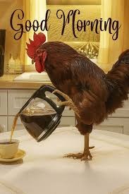 . | made w/ Imgflip meme maker