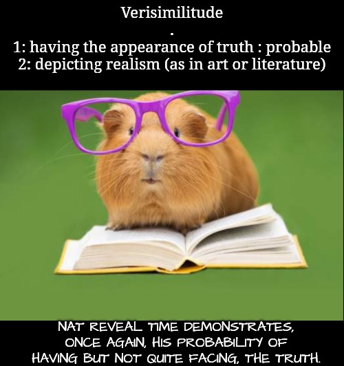 Verisimilitude
.
1: having the appearance of truth : probable
2: depicting realism (as in art or literature) NAT REVEAL TIME DEMONSTRATES, O | made w/ Imgflip meme maker