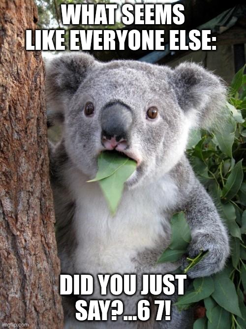 Surprised Koala | WHAT SEEMS LIKE EVERYONE ELSE:; DID YOU JUST SAY?...6 7! | image tagged in memes,surprised koala | made w/ Imgflip meme maker