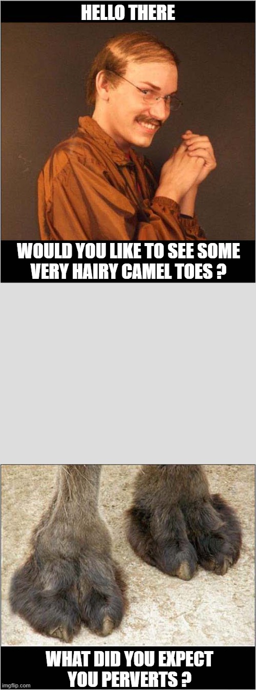 A Creepy Offer ! | HELLO THERE; WOULD YOU LIKE TO SEE SOME
VERY HAIRY CAMEL TOES ? WHAT DID YOU EXPECT
YOU PERVERTS ? | image tagged in creepy guy,camel toe | made w/ Imgflip meme maker
