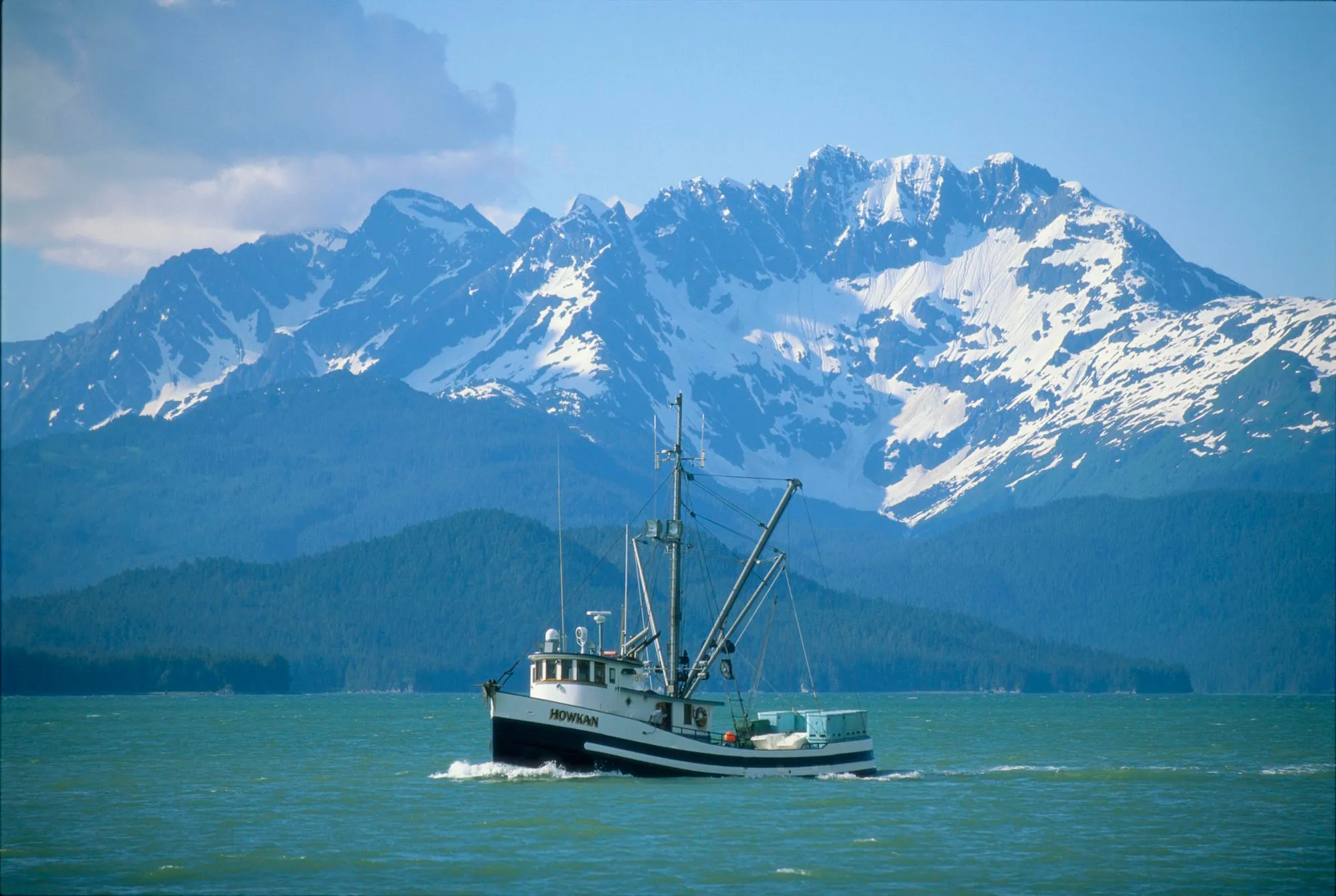 fish Blank Meme Template