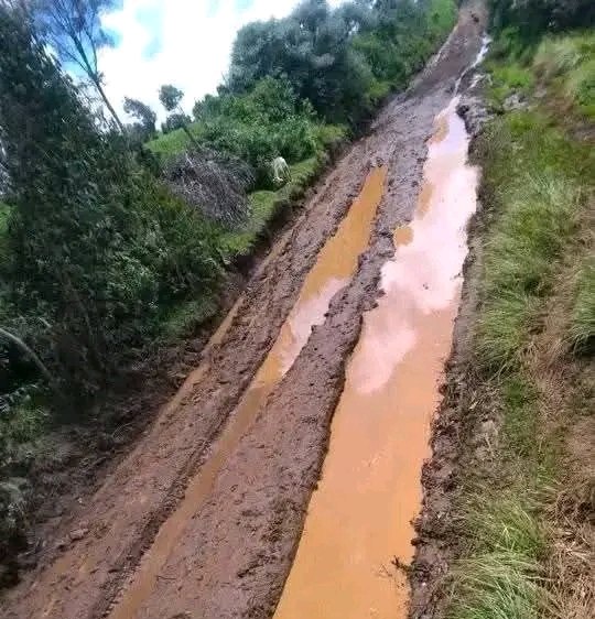 Africa roads Blank Meme Template