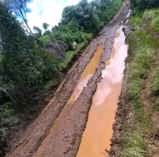 African road Blank Meme Template
