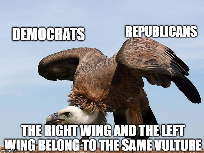 vulture | REPUBLICANS; DEMOCRATS; THE RIGHT WING AND THE LEFT WING BELONG TO THE SAME VULTURE | image tagged in vulture | made w/ Imgflip meme maker