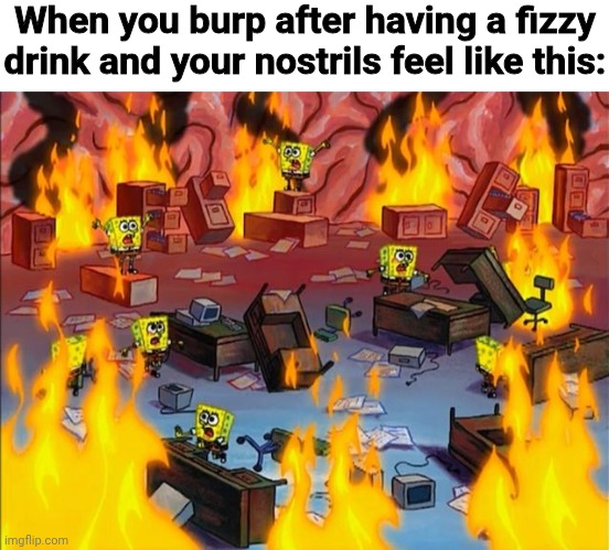 spongebob fire | When you burp after having a fizzy drink and your nostrils feel like this: | image tagged in spongebob fire | made w/ Imgflip meme maker