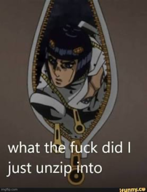 What did I unzip into | image tagged in what did i unzip into | made w/ Imgflip meme maker