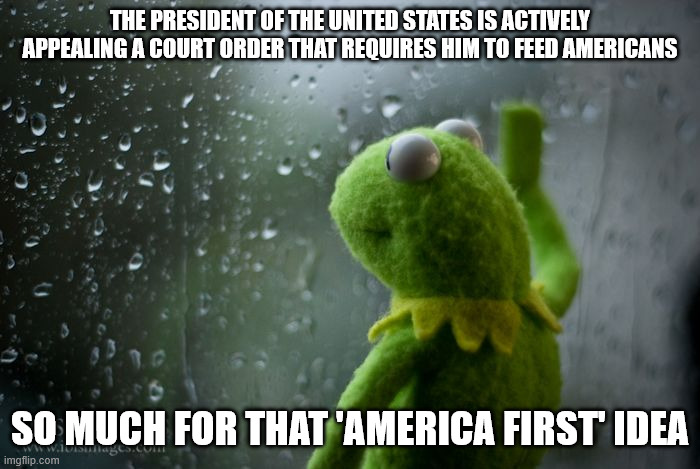 kermit window | THE PRESIDENT OF THE UNITED STATES IS ACTIVELY APPEALING A COURT ORDER THAT REQUIRES HIM TO FEED AMERICANS; SO MUCH FOR THAT 'AMERICA FIRST' IDEA | image tagged in kermit window | made w/ Imgflip meme maker