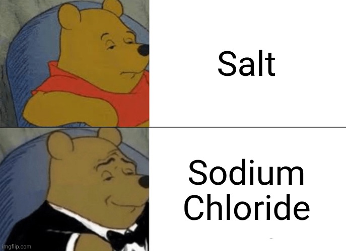 Tuxedo Winnie The Pooh Meme | Salt; Sodium Chloride | image tagged in memes,tuxedo winnie the pooh,salt,funny | made w/ Imgflip meme maker