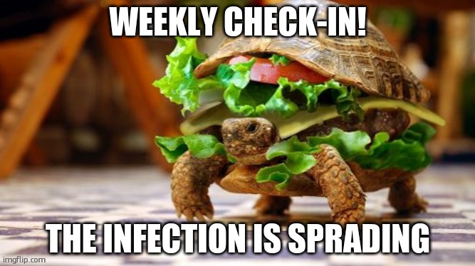 Tortoise Samwich | WEEKLY CHECK-IN! THE INFECTION IS SPREADING | image tagged in tortoise samwich | made w/ Imgflip meme maker
