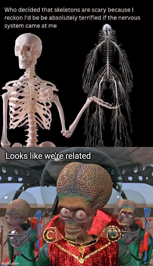 Beauty is only skin deep | Looks like we're related | image tagged in mars attacks martians,skeletons,nervous,system,scary,biology | made w/ Imgflip meme maker