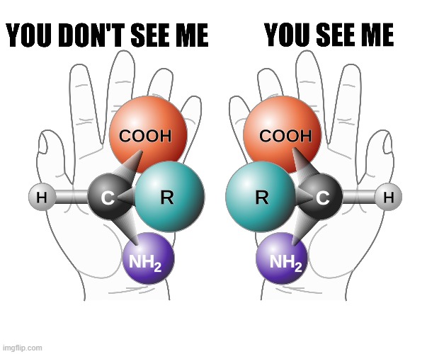 Chirality meme | image tagged in biology,chemistry,science,meme,funny,memes | made w/ Imgflip meme maker