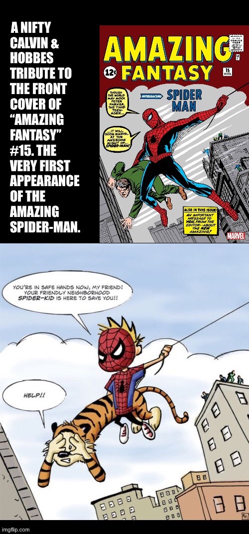 Calvin & Hobbes fan art | A NIFTY | image tagged in calvin and hobbes,spiderman,mashup,comics,fan art,amazing fantasy 15 | made w/ Imgflip meme maker