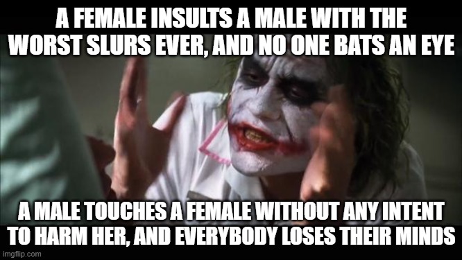 credits to https://imgflip.com/i/aag4mt for inspiring me to make this meme | A FEMALE INSULTS A MALE WITH THE WORST SLURS EVER, AND NO ONE BATS AN EYE; A MALE TOUCHES A FEMALE WITHOUT ANY INTENT TO HARM HER, AND EVERYBODY LOSES THEIR MINDS | image tagged in memes,and everybody loses their minds,society sucks | made w/ Imgflip meme maker