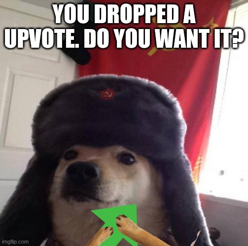 Russian Doge | YOU DROPPED A UPVOTE. DO YOU WANT IT? | image tagged in russian doge | made w/ Imgflip meme maker
