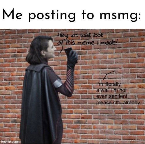 Nobody listens to me but I'll keep posting because this is the only active stream and a point farm. | Me posting to msmg: | image tagged in stormfront talking to a wall,memeus | made w/ Imgflip meme maker
