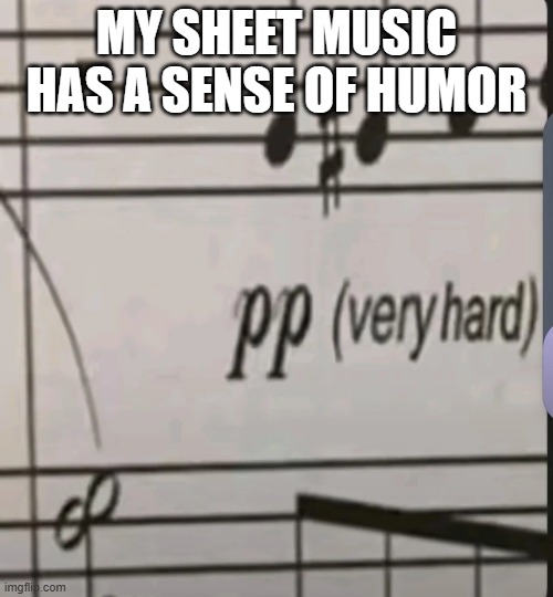 Sheet Music | MY SHEET MUSIC HAS A SENSE OF HUMOR | image tagged in music | made w/ Imgflip meme maker