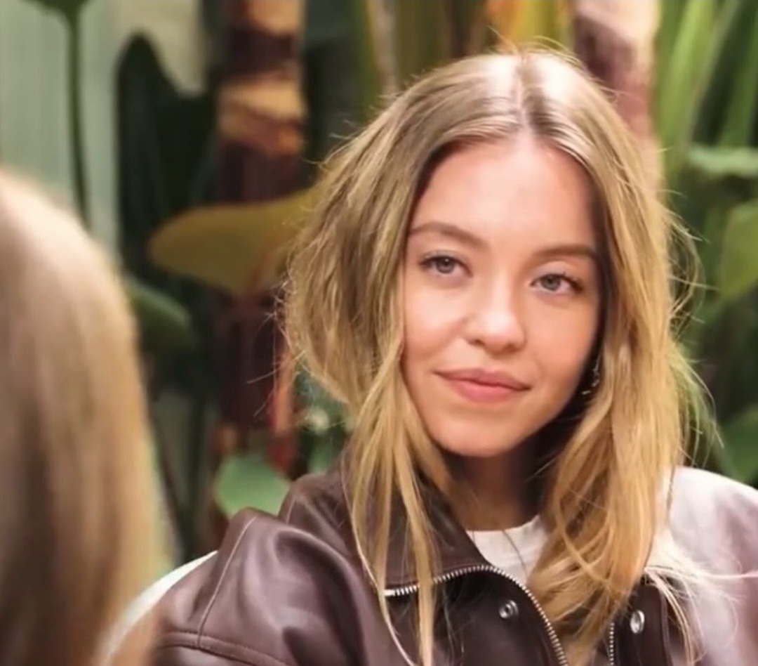 Sydney Blank Meme Template