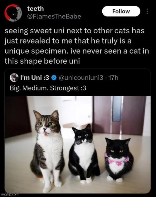 . | made w/ Imgflip meme maker