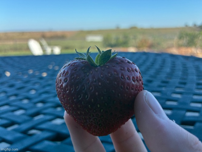 “I love you” ahh strawberry | made w/ Imgflip meme maker