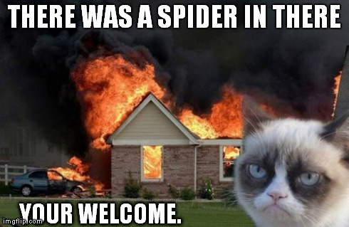 Burn Kitty Meme | THERE WAS A SPIDER IN THERE  YOUR WELCOME. | image tagged in memes,burn kitty | made w/ Imgflip meme maker