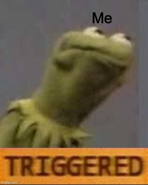 Kermit Triggered | Me | image tagged in kermit triggered | made w/ Imgflip meme maker