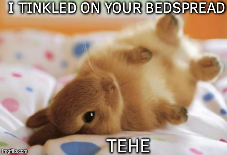 Bunny | I TINKLED ON YOUR BEDSPREAD TEHE | image tagged in bunny | made w/ Imgflip meme maker
