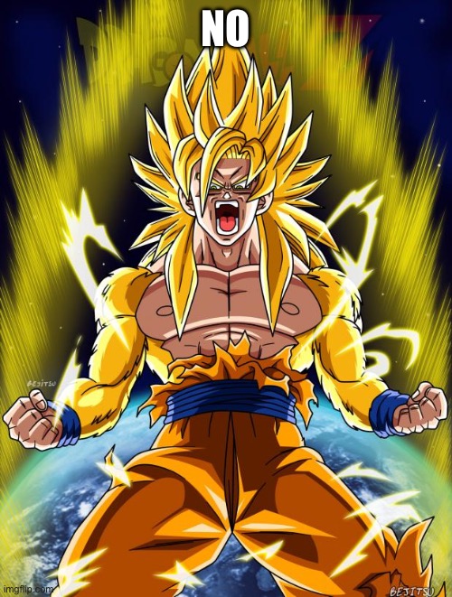 Goku | NO | image tagged in goku | made w/ Imgflip meme maker