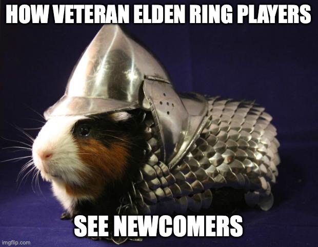 Guinea Pig | HOW VETERAN ELDEN RING PLAYERS; SEE NEWCOMERS | image tagged in guinea pig | made w/ Imgflip meme maker