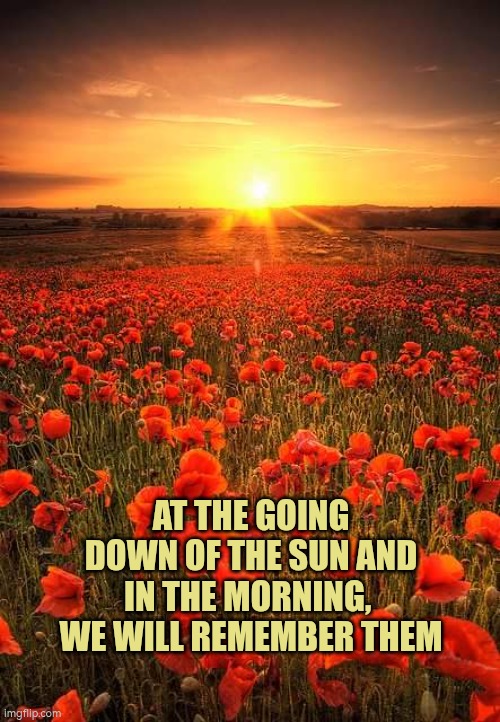 Remembrance Sunday. We will remember them | AT THE GOING DOWN OF THE SUN AND IN THE MORNING, 
WE WILL REMEMBER THEM | image tagged in poppy field lest we forget,lest we forget,remembrance | made w/ Imgflip meme maker