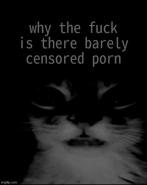 what the fuck | why the fuck is there barely censored porn | image tagged in orange cat uncanny stare | made w/ Imgflip meme maker