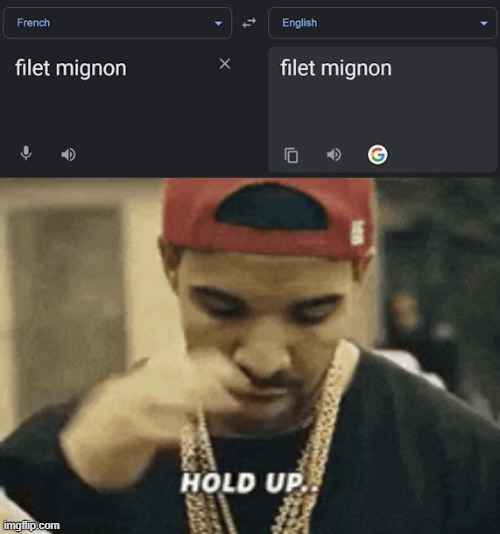 filet mignon | image tagged in google translate,memes,funny | made w/ Imgflip meme maker