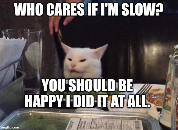 Turtle | WHO CARES IF I'M SLOW? YOU SHOULD BE HAPPY I DID IT AT ALL. | image tagged in smudge that darn cat,cat,cats,smudge | made w/ Imgflip meme maker