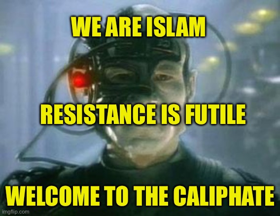 The Borg | WE ARE ISLAM; RESISTANCE IS FUTILE; WELCOME TO THE CALIPHATE | image tagged in the borg | made w/ Imgflip meme maker