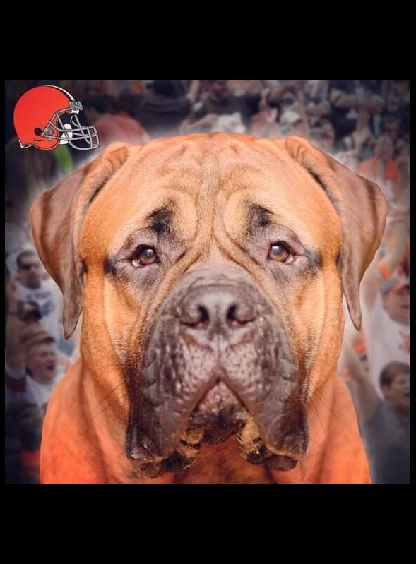 cleveland browns swagger