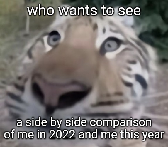 tigre | who wants to see; a side by side comparison of me in 2022 and me this year | image tagged in tigre | made w/ Imgflip meme maker
