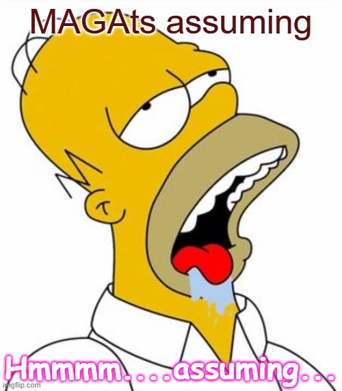 MAGAts assuming Hmmmm....assuming... | image tagged in homer simpson mmm | made w/ Imgflip meme maker