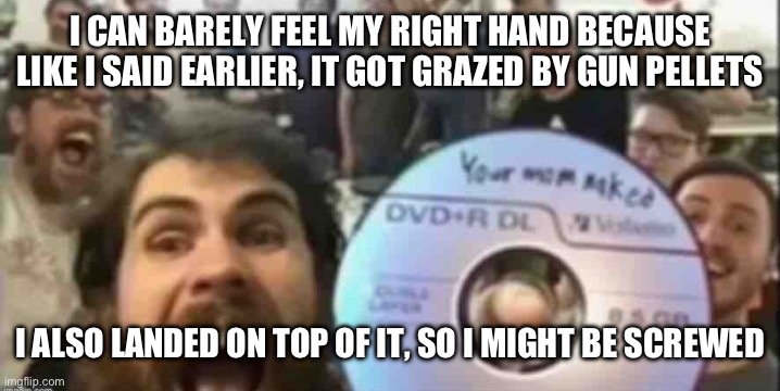 Cd guys | I CAN BARELY FEEL MY RIGHT HAND BECAUSE LIKE I SAID EARLIER, IT GOT GRAZED BY GUN PELLETS; I ALSO LANDED ON TOP OF IT, SO I MIGHT BE SCREWED | image tagged in cd guys | made w/ Imgflip meme maker