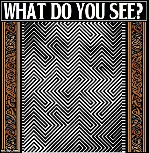 What's Your Name" Is it Mary or Sue? | image tagged in vince vance,optical illusion,memes,hidden,face | made w/ Imgflip meme maker