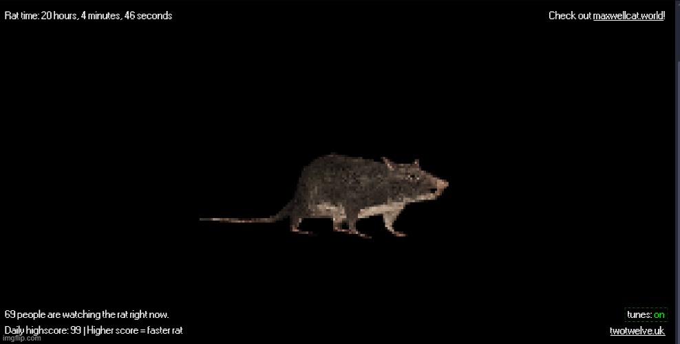 rat :3 | made w/ Imgflip meme maker