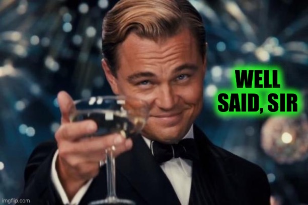 Leonardo Dicaprio Cheers Meme | WELL SAID, SIR | image tagged in memes,leonardo dicaprio cheers | made w/ Imgflip meme maker