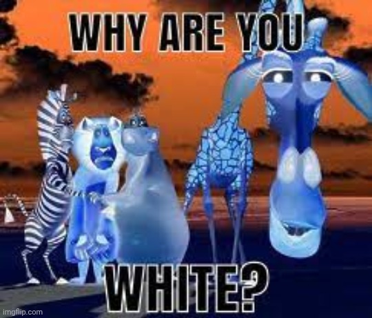 why are you white? | image tagged in why are you white | made w/ Imgflip meme maker