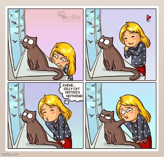 Catsu | image tagged in cats,comics,dita,staring out of window,birds,leave me alone | made w/ Imgflip meme maker