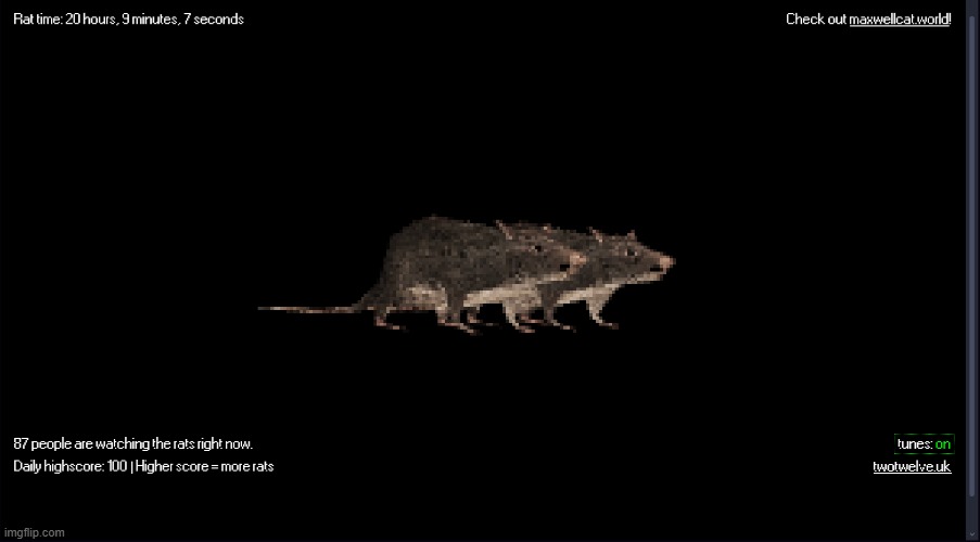 dos rattas | made w/ Imgflip meme maker