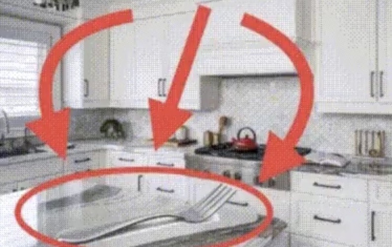 fork found in kitchen | image tagged in fork found in kitchen | made w/ Imgflip meme maker