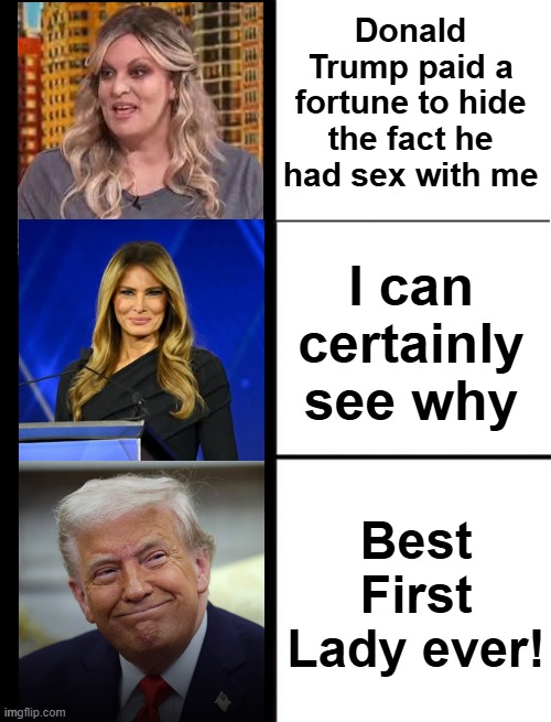 blank 3 panel | Donald Trump paid a fortune to hide the fact he had sex with me; I can certainly see why; Best First Lady ever! | image tagged in blank 3 panel,trump,stormy daniels,scandal,melania trump | made w/ Imgflip meme maker