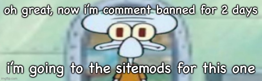 squidward staring | oh great, now i’m comment banned for 2 days; i’m going to the sitemods for this one | image tagged in squidward staring | made w/ Imgflip meme maker