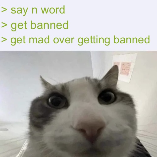 green text cat | > say n word > get banned > get mad over getting banned | image tagged in green text cat | made w/ Imgflip meme maker