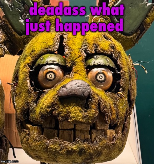 /srs | deadass what just happened | image tagged in spingletap | made w/ Imgflip meme maker