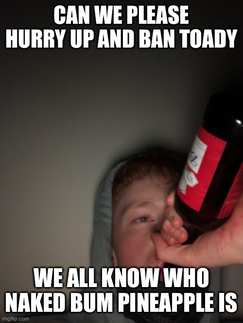 Use of the n word isn’t acceptable anywhere | CAN WE PLEASE HURRY UP AND BAN TOADY; WE ALL KNOW WHO NAKED BUM PINEAPPLE IS | made w/ Imgflip meme maker